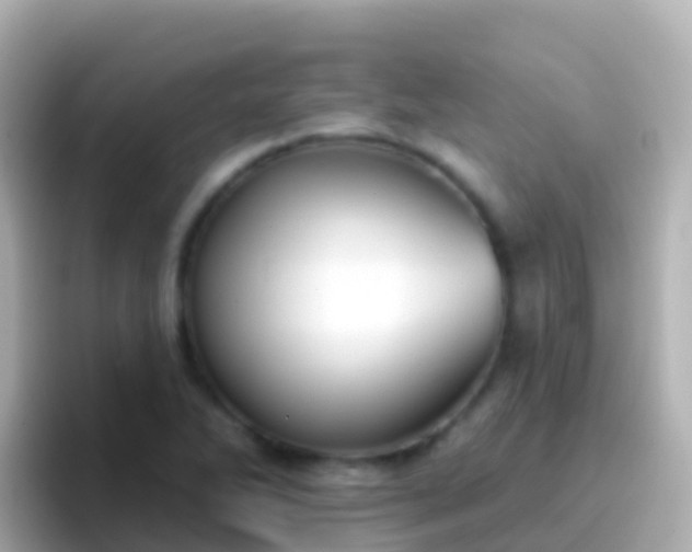 X0000096691270200802121225