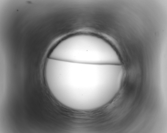 X0000096691271200802121225