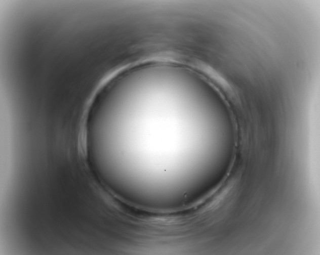 X0000096691272200802121225