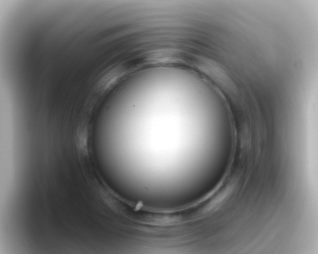 X0000096691273200802121225