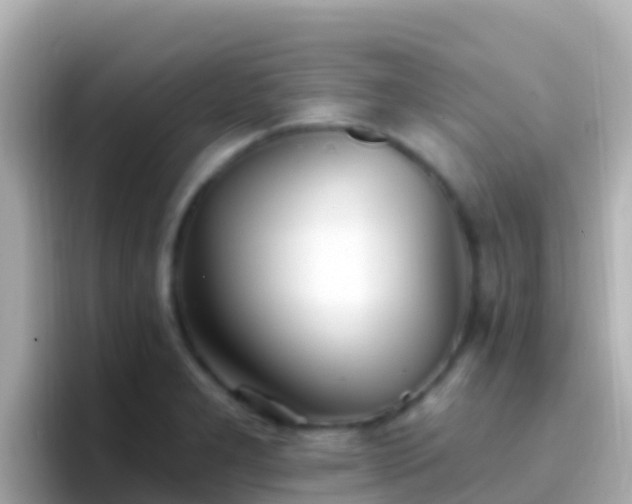 X0000096691277200802121225