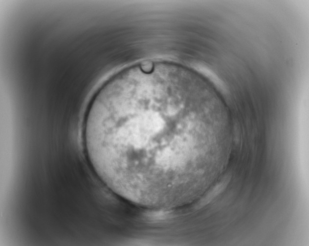 X0000096691278200802121225