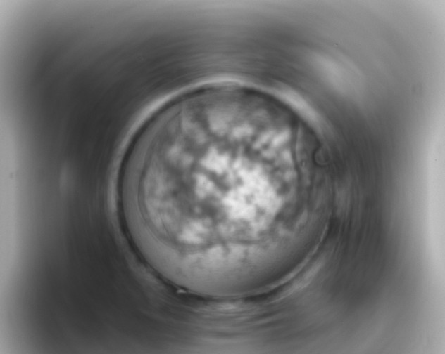 X0000096691279200802121225