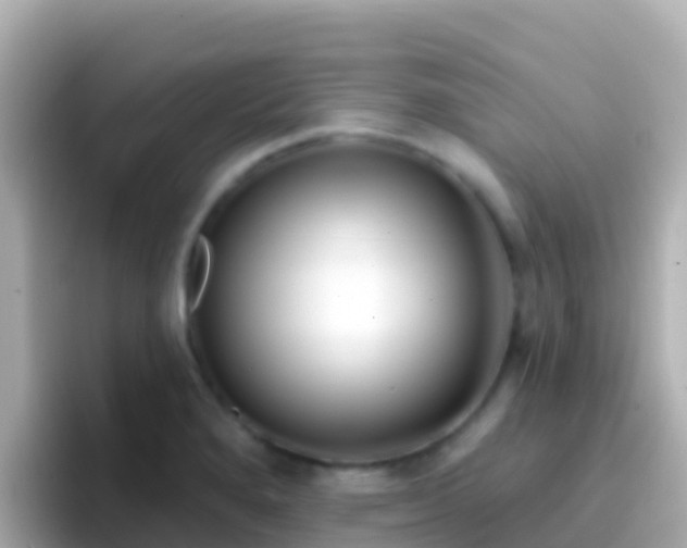 X0000096691280200802121225