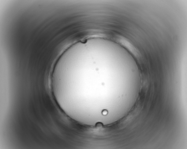 X0000096691282200802121225