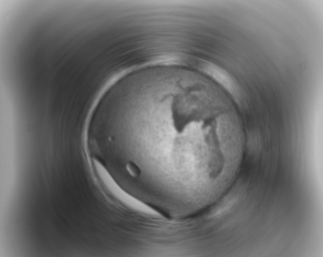 X0000096691283200802121225