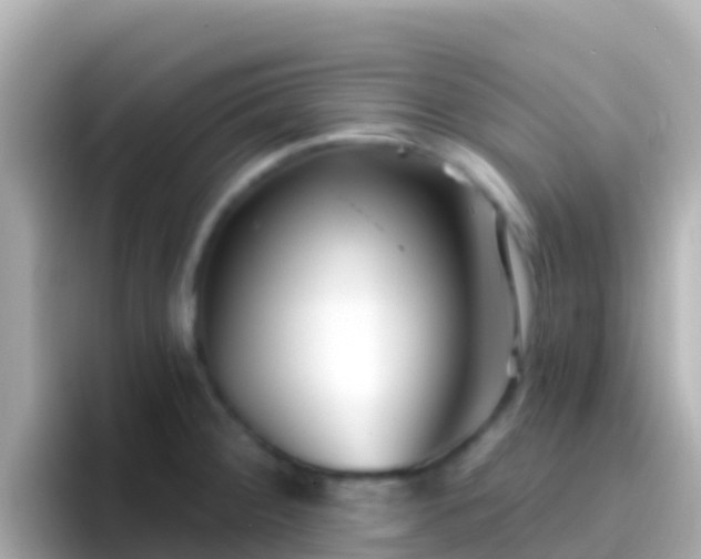 X0000096691284200802121225