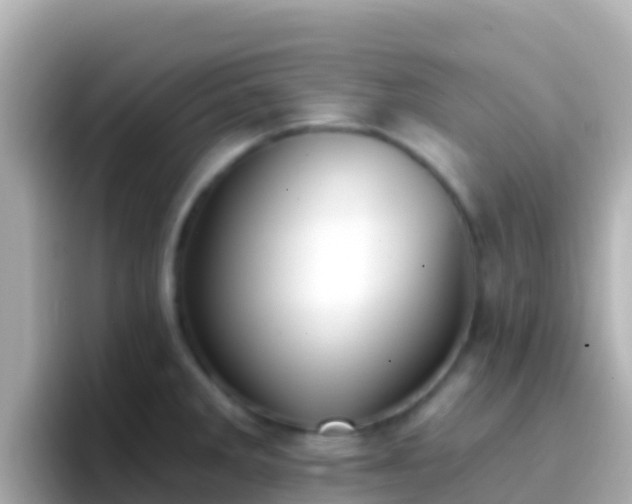 X0000096691285200802121225