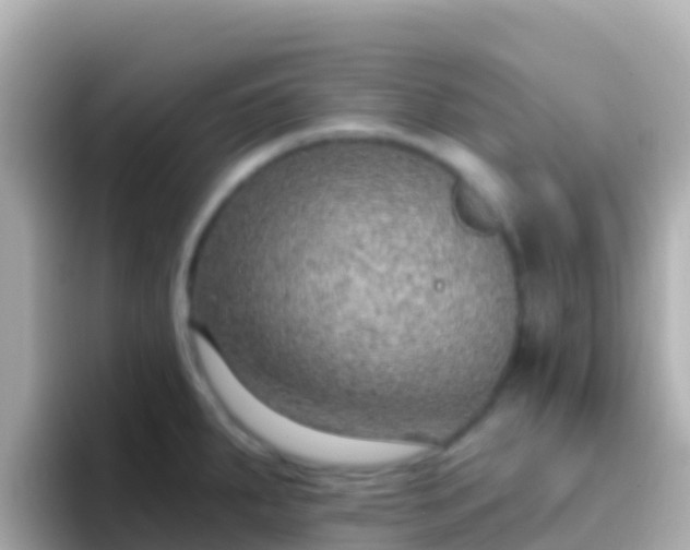 X0000096691287200802121224