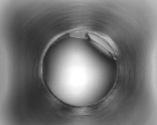 X0000096691288200802121224