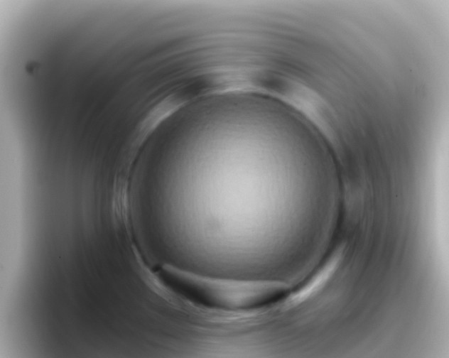 X0000096691289200802121224