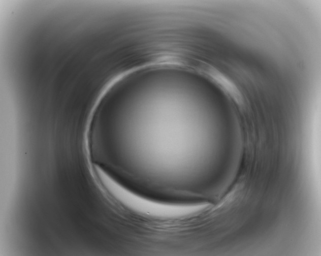 X0000096691291200802121224