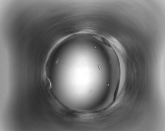 X0000096691292200802121224