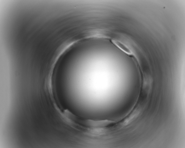 X0000096691293200802121224