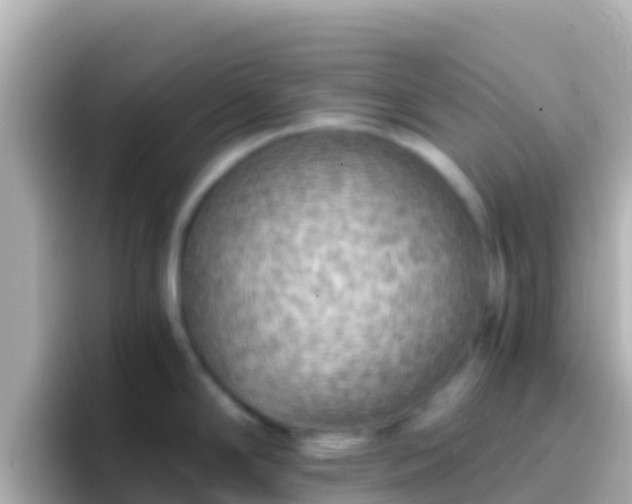 X0000096691294200802121224