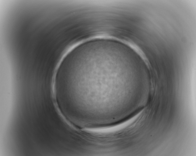 X0000096691295200802121224