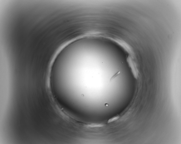 X0000096691296200802121224