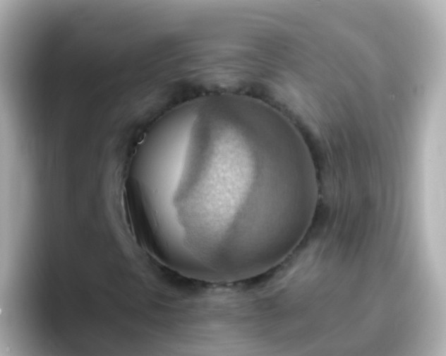 X0000096691297200802121224