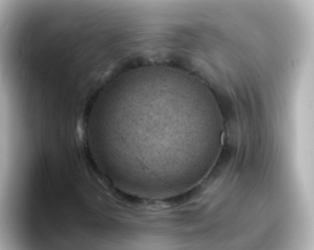 X0000096691298200802121224