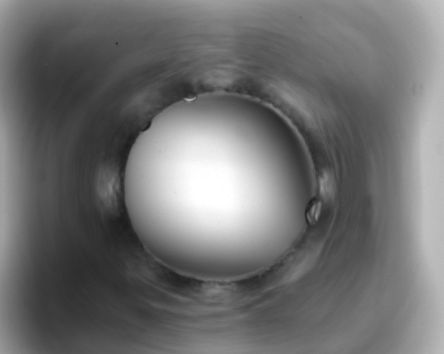 X0000096691299200802121224