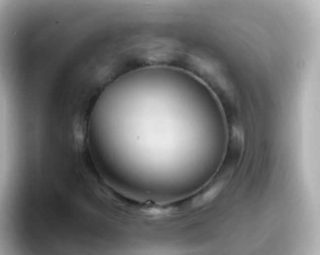 X0000096691300200802121224