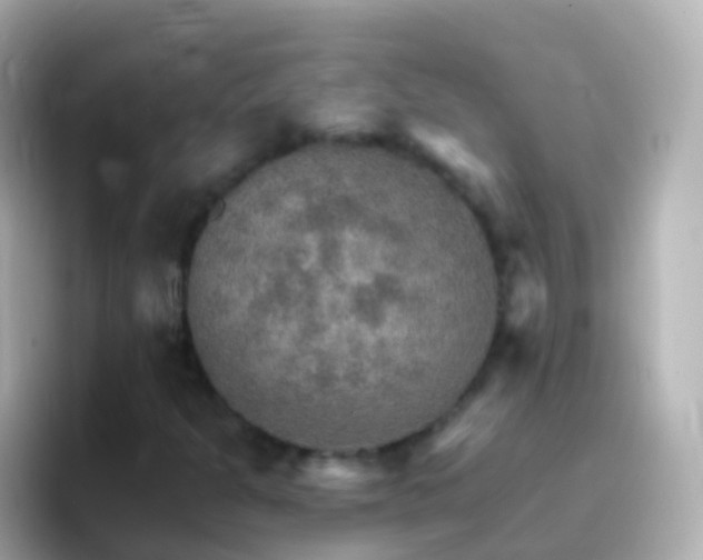 X0000096691301200802121224