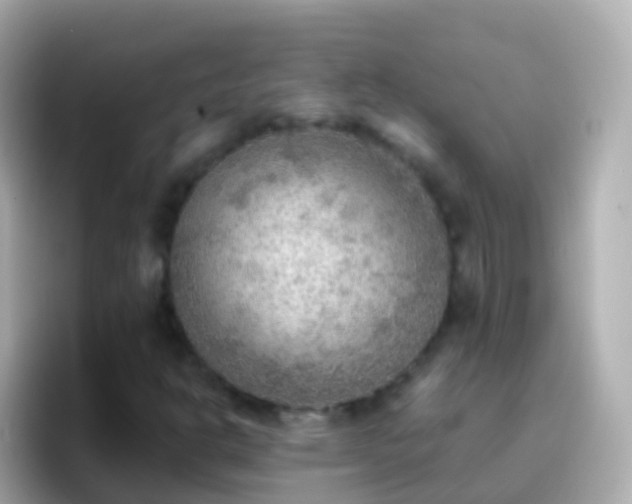 X0000096691302200802121224