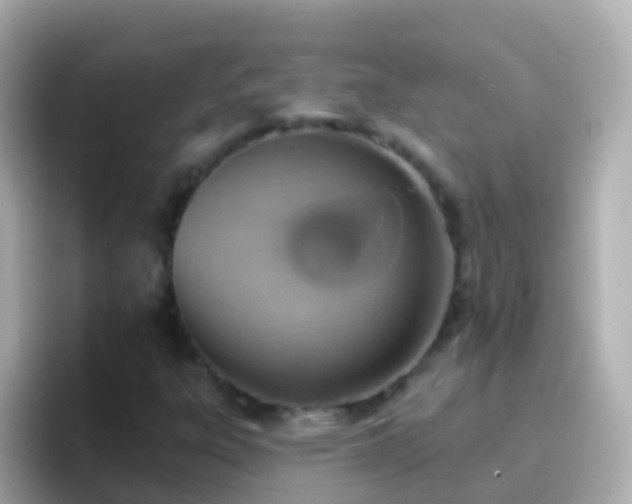 X0000096691303200802121224