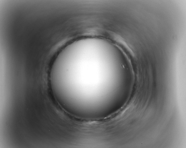 X0000096691304200802121224