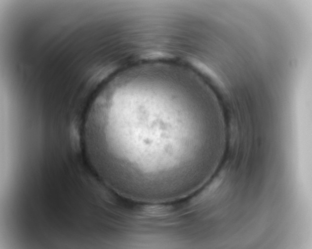 X0000096691305200802121224