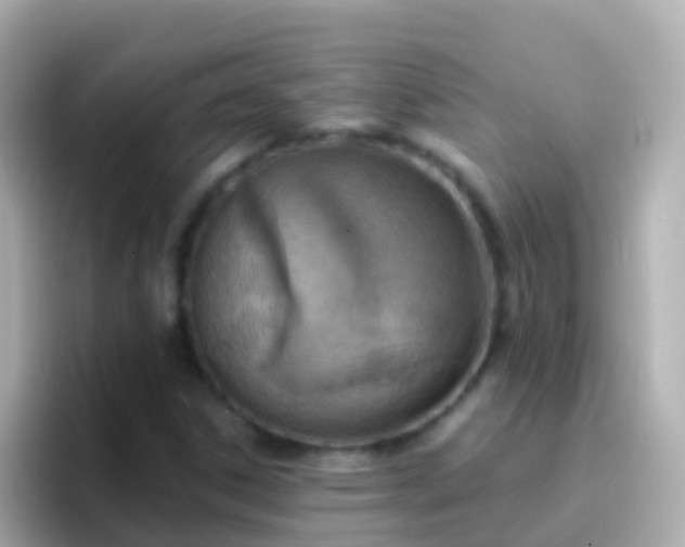 X0000096691306200802121224