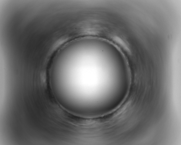 X0000096691307200802121224