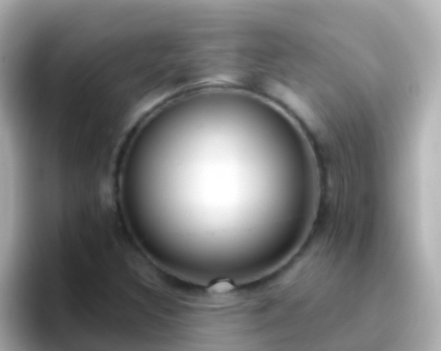 X0000096691308200802121224