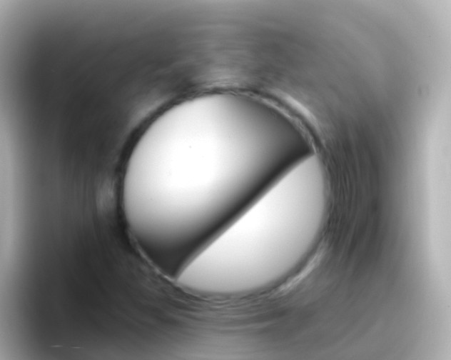 X0000096691309200802121224