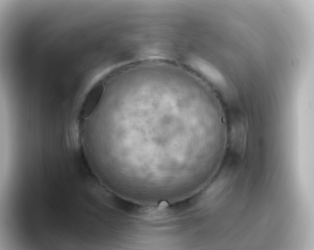 X0000096691310200802121224