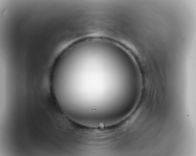 X0000096691311200802121224