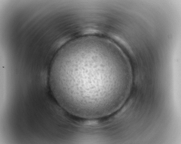 X0000096691313200802121224