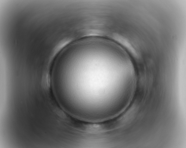 X0000096691317200802121224