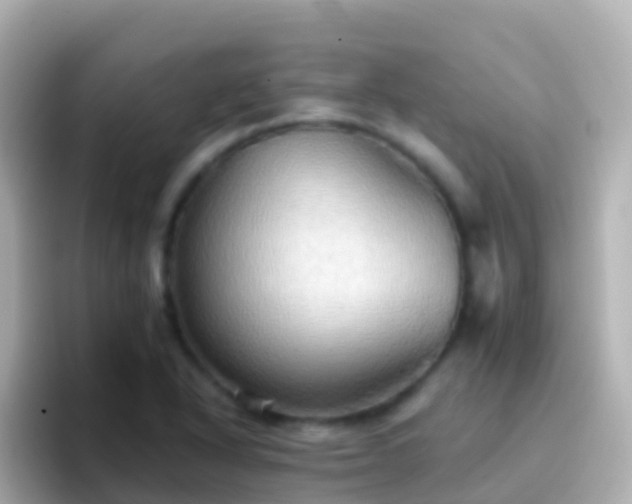 X0000096691318200802121224