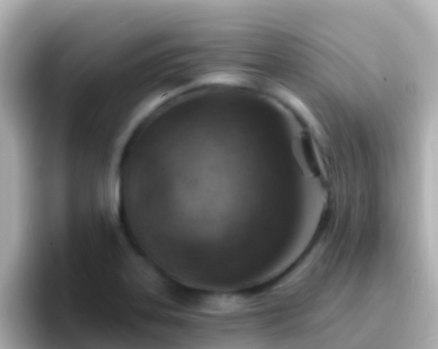 X0000096691323200802121224