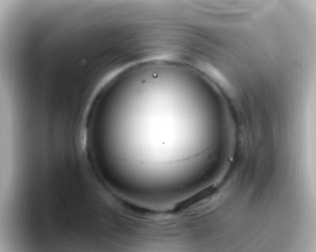 X0000096691324200802121224