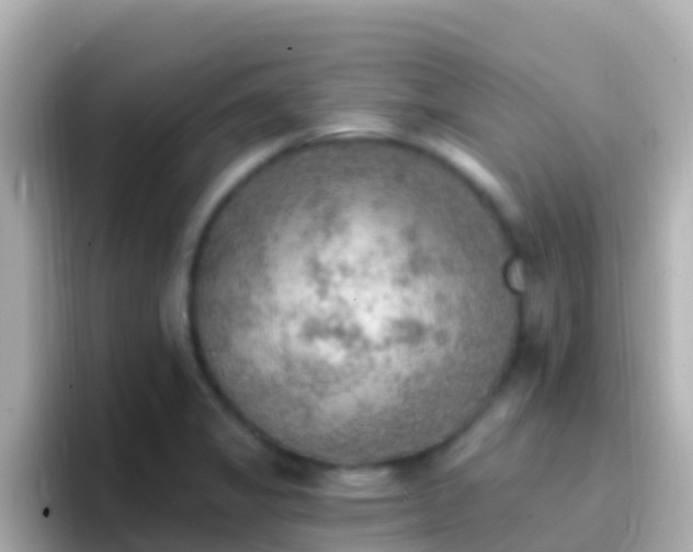 X0000096691325200802121224