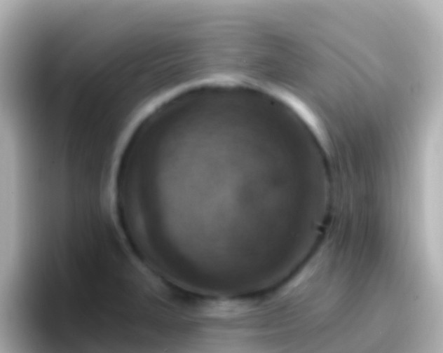 X0000096691327200802121224