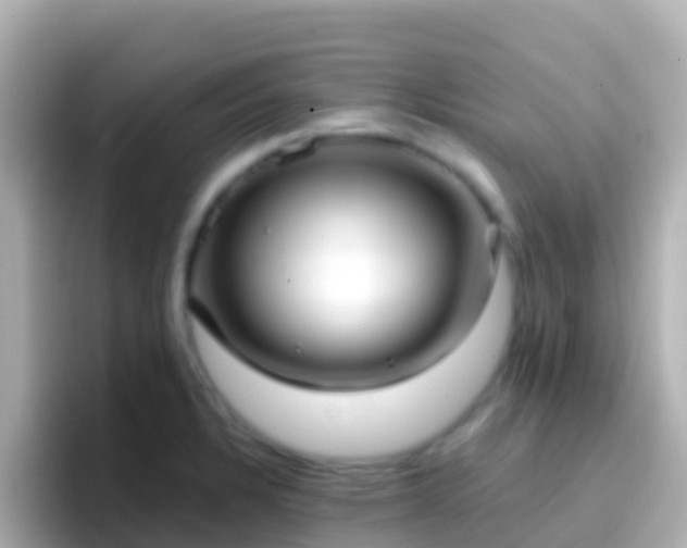 X0000096691328200802121224