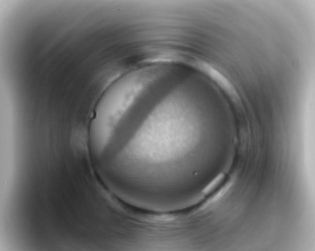 X0000096691329200802121224