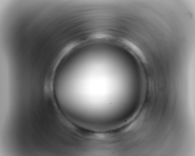 X0000096691330200802121224