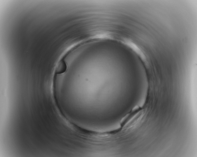 X0000096691331200802121224