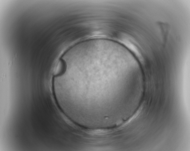 X0000096691333200802121224