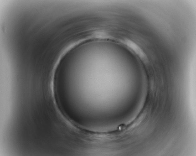 X0000096691334200802121224