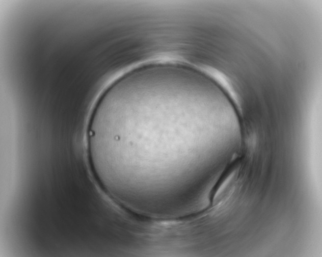 X0000096691335200802121224